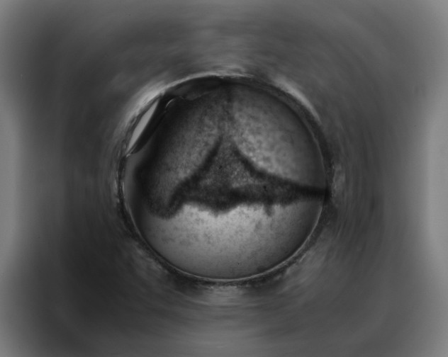 X0000088171455200705221612