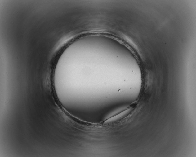 X0000088171456200705221612