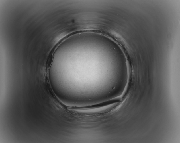 X0000088171457200705221612