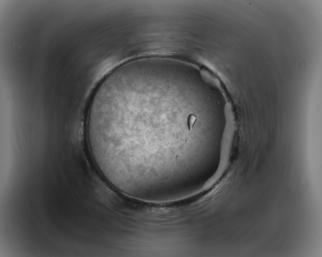 X0000088171459200705221612