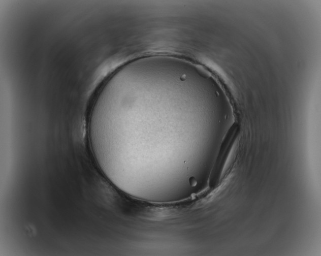 X0000088171461200705221612