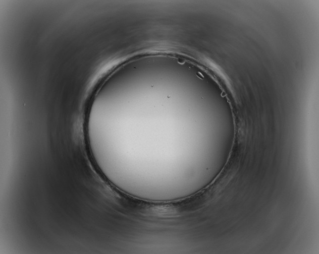 X0000088171464200705221612