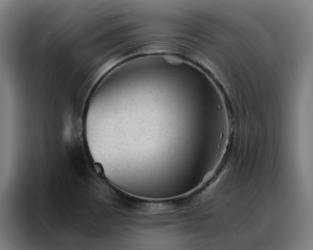 X0000088171465200705221612