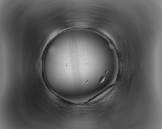 X0000088171467200705221612