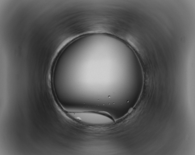 X0000088171468200705221612