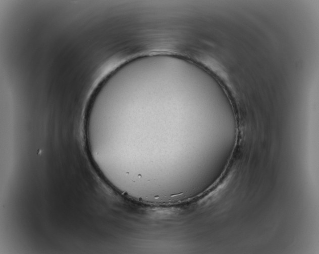 X0000088171469200705221612