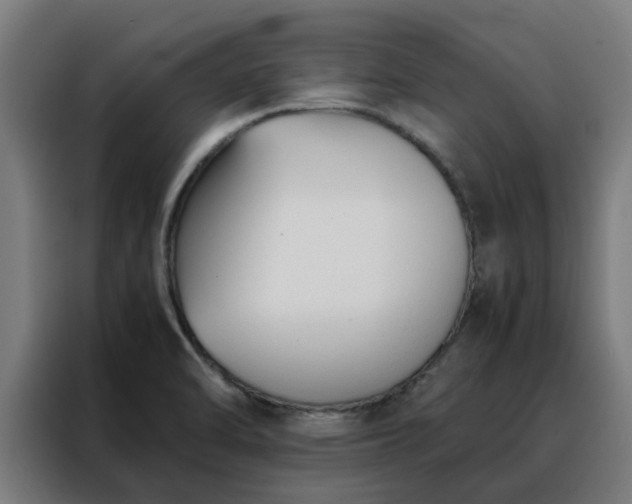 X0000088171470200705221612