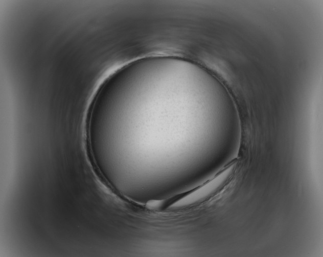 X0000088171471200705221612