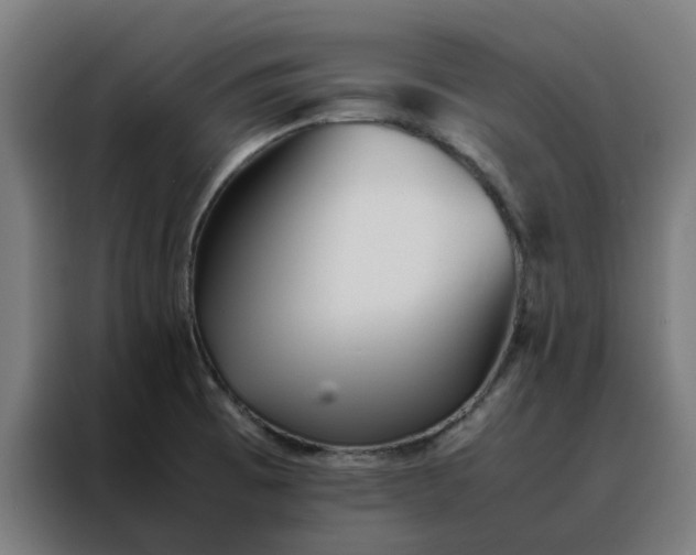 X0000088171473200705221612