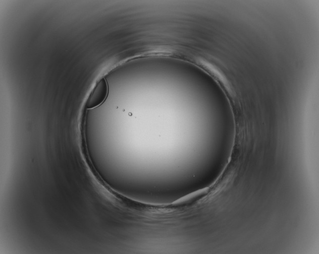 X0000088171475200705221611