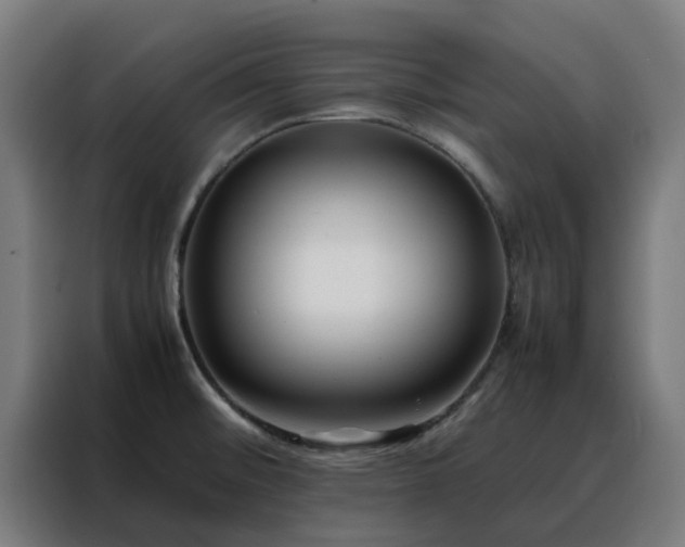 X0000088171476200705221611