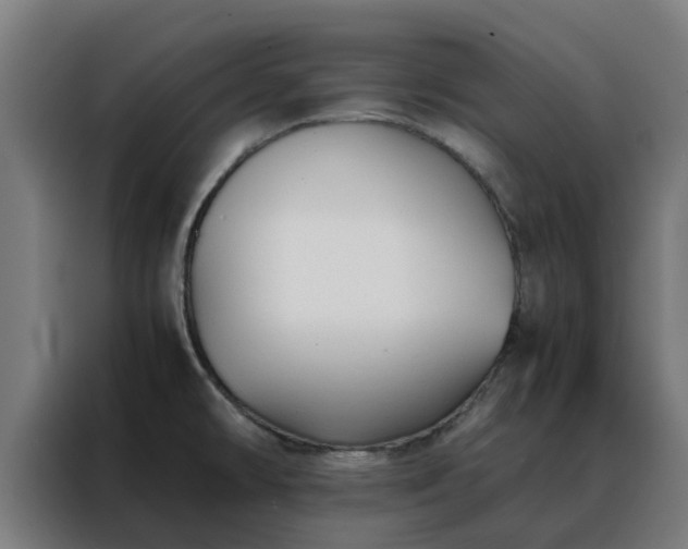 X0000088171478200705221611