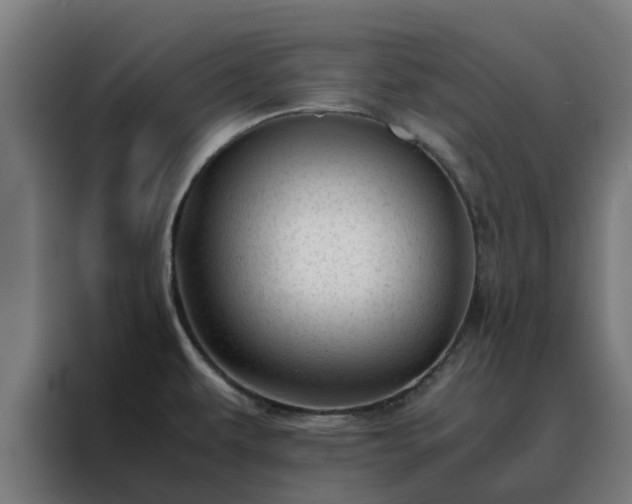 X0000088171479200705221611