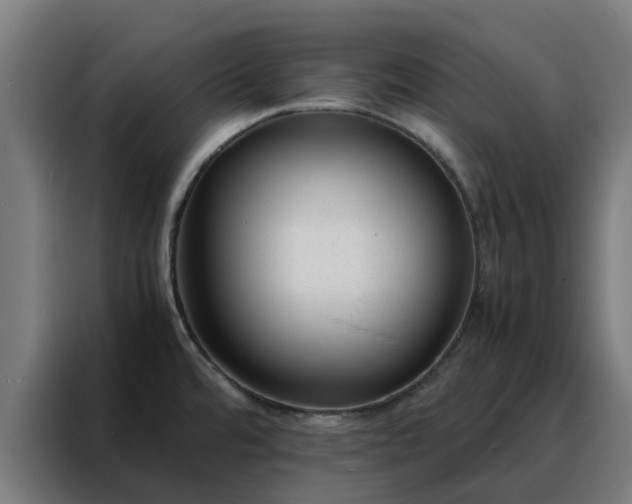 X0000088171480200705221611