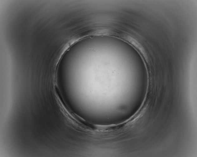 X0000088171481200705221611