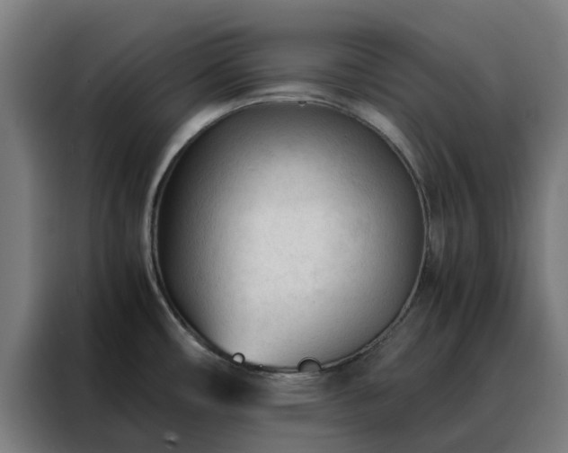 X0000088171482200705221611