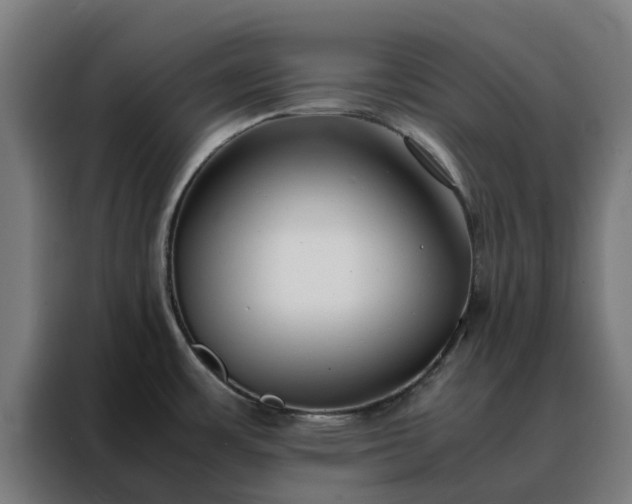 X0000088171483200705221611