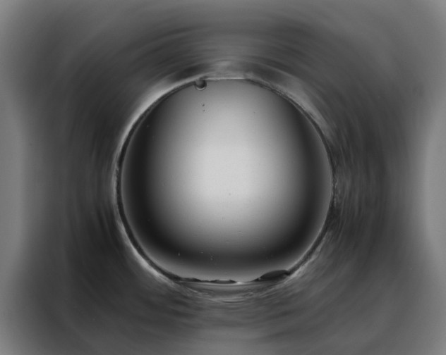 X0000088171484200705221611