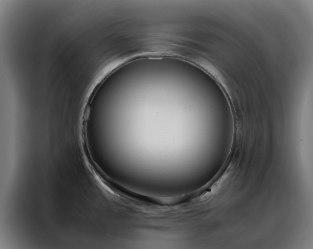 X0000088171485200705221611