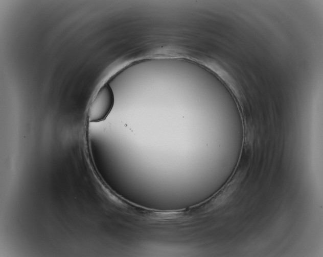 X0000088171486200705221611