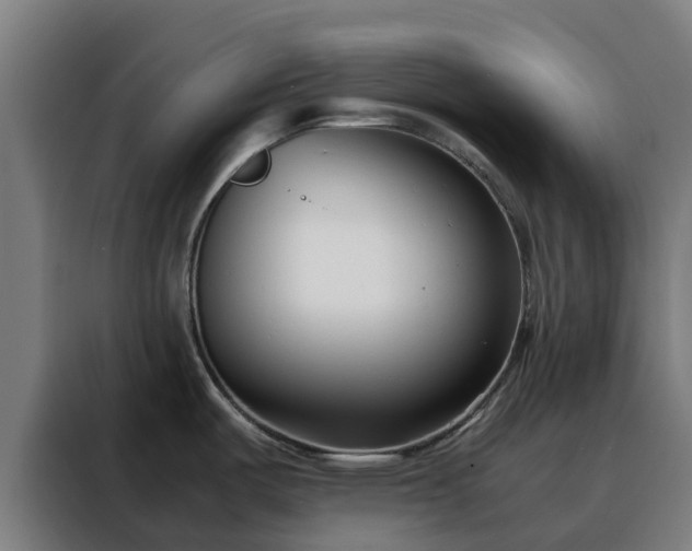 X0000088171487200705221611