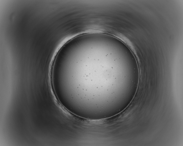 X0000088171488200705221611