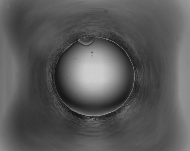 X0000088171489200705221611