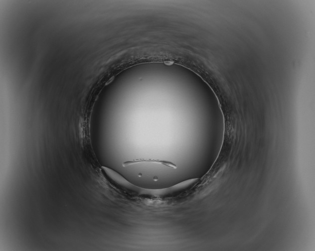 X0000088171490200705221611