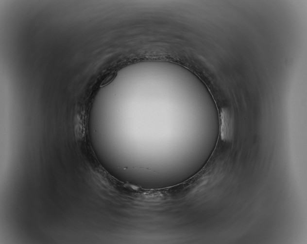 X0000088171491200705221611