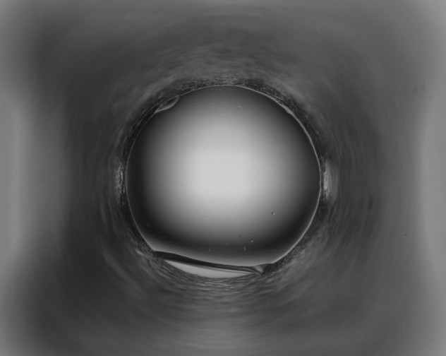 X0000088171492200705221611