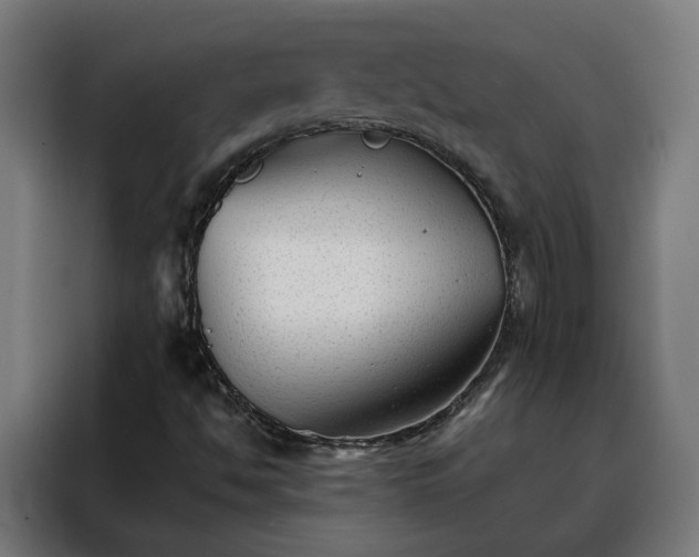 X0000088171494200705221611