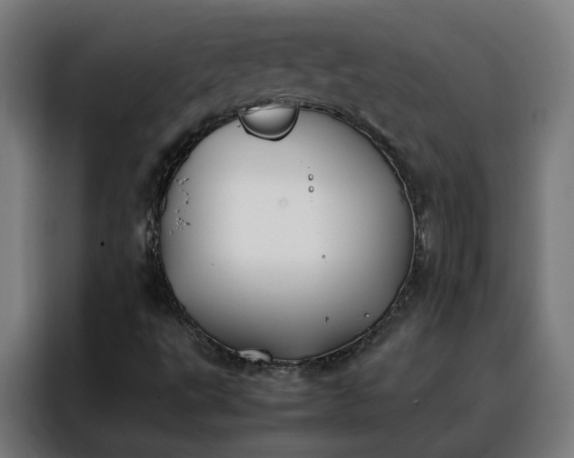 X0000088171495200705221611