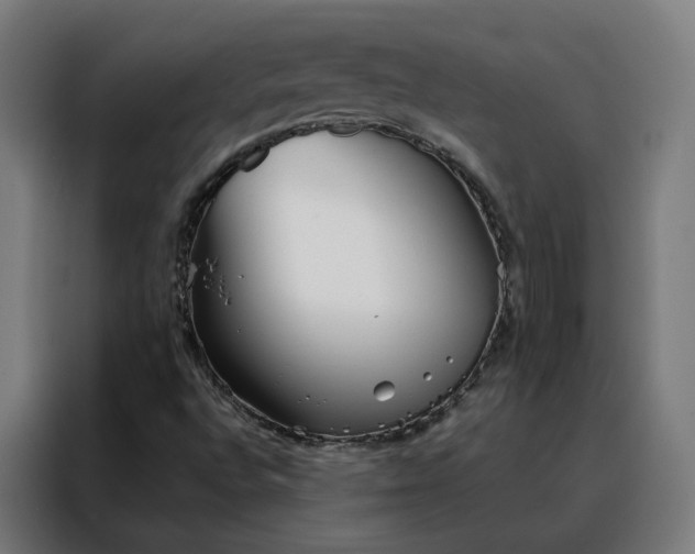 X0000088171496200705221611