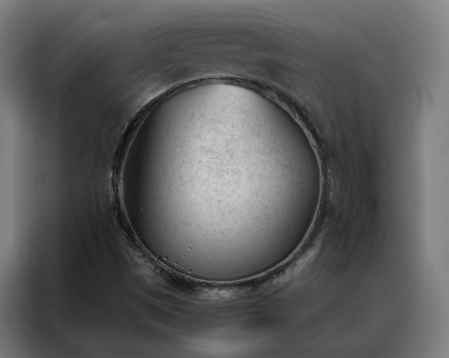 X0000088171497200705221611