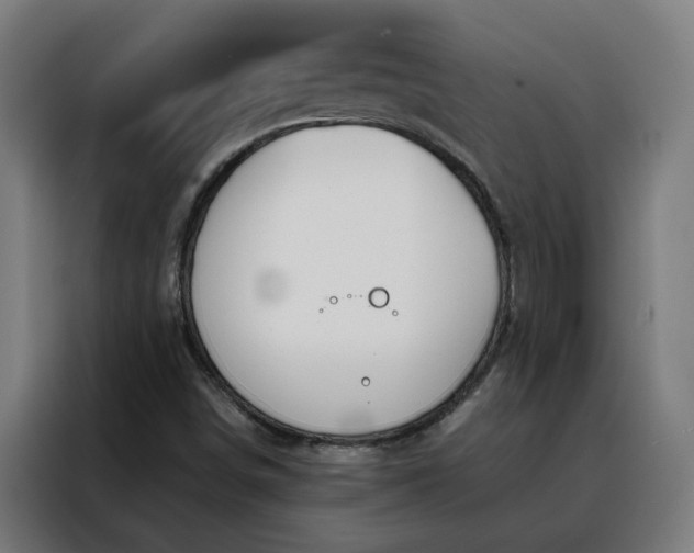 X0000088171498200705221611