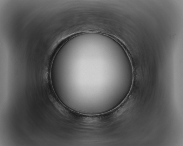 X0000088171499200705221611