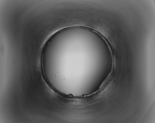 X0000088171500200705221611