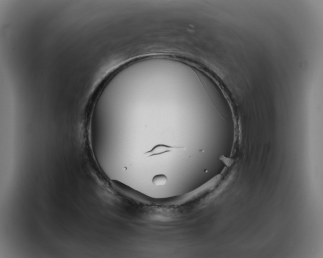 X0000088171501200705221611