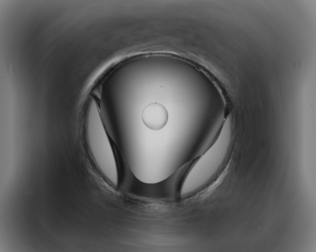 X0000088171502200705221611