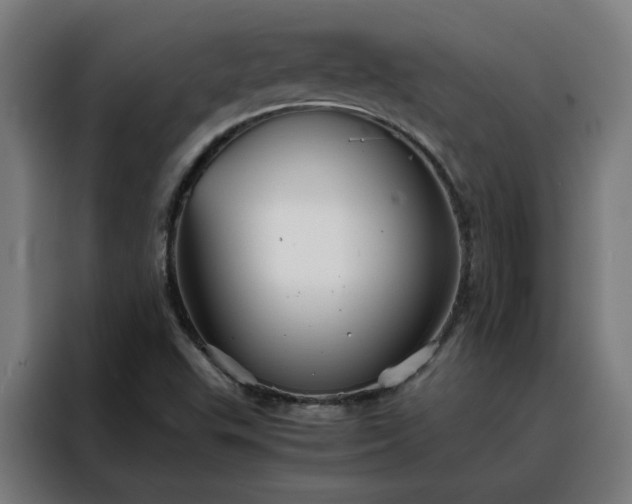 X0000088171503200705221611