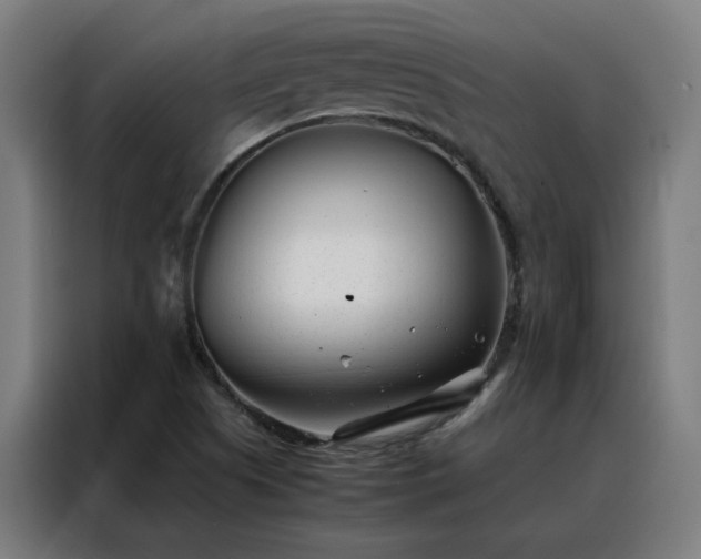 X0000088171505200705221611