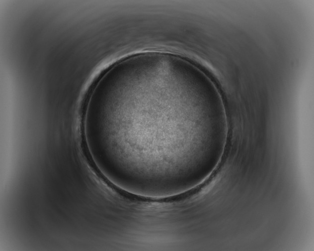 X0000088171506200705221611