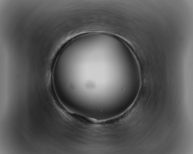 X0000088171507200705221611