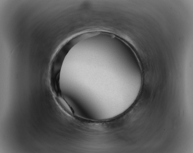 X0000088171508200705221611