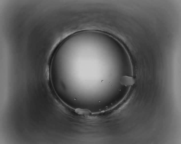 X0000088171509200705221611