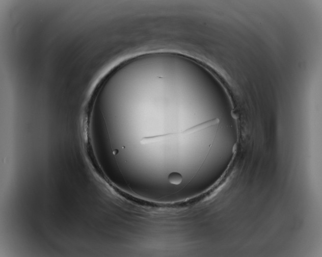 X0000088171510200705221611