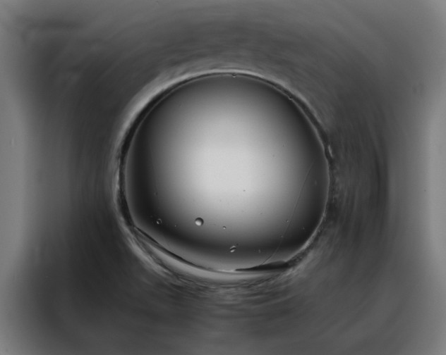 X0000088171511200705221611