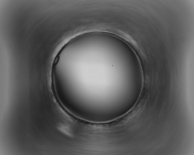 X0000088171512200705221611