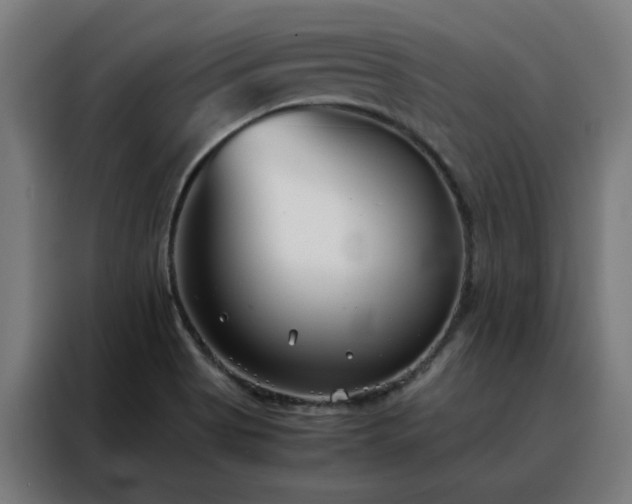 X0000088171513200705221611