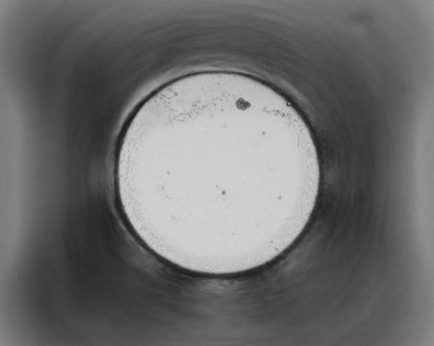 X0000088171514200705221611